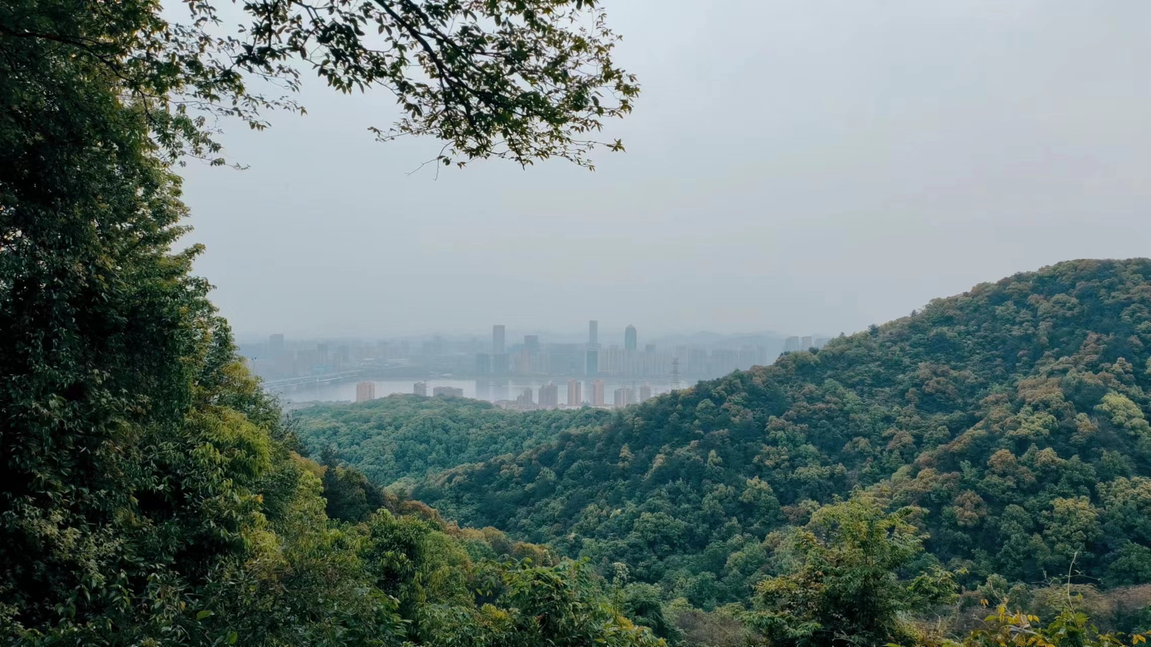 凤凰山俯瞰钱塘江