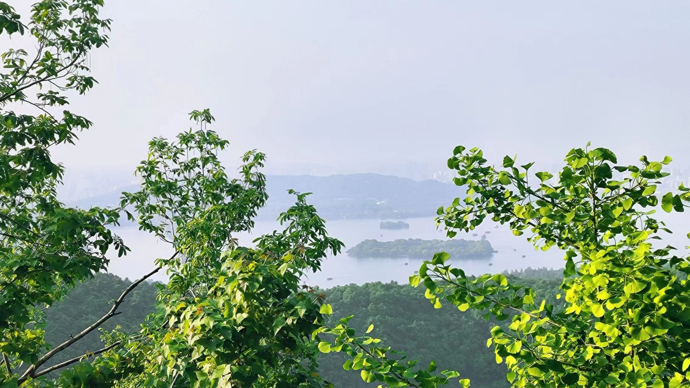 玉皇山俯瞰西湖